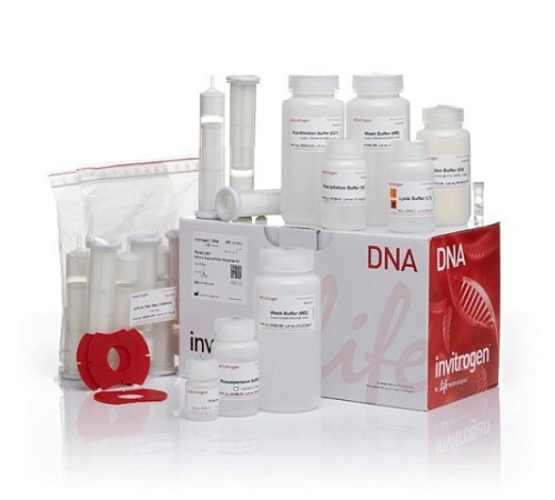 Купить Набор PureLink HiPure Plasmid Filter Maxiprep Kit, Thermo FS
