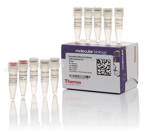 Купить Набор для синтеза первой цепи кДНК с обратной транскриптазой RevertAid H minus, Thermo FS