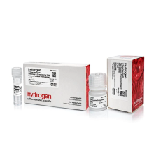 Набор для выделения экзосом Total Exosome Isolation Kit (из плазмы), Thermo FS