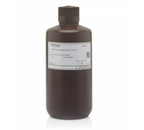 Купить Краситель SYBR Safe, раствор в 1x буфере TAE, Thermo FS