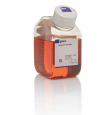 Среда Neurobasal Plus, без животных компонентов, без глутамина, с феноловым красным, Thermo FS