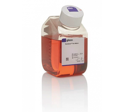 Купить Среда Neurobasal Plus, без животных компонентов, без глутамина, с феноловым красным, Thermo FS