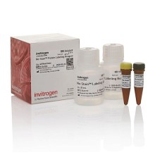 Реагент No-Stain™ Protein Labeling Reagent, 40 реакций, Thermo FS