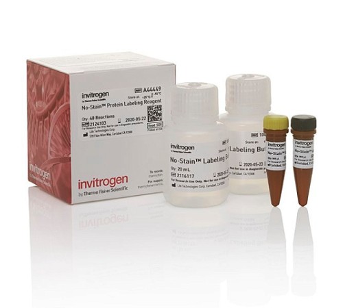 Купить Реагент No-Stain™ Protein Labeling Reagent, 40 реакций, Thermo FS