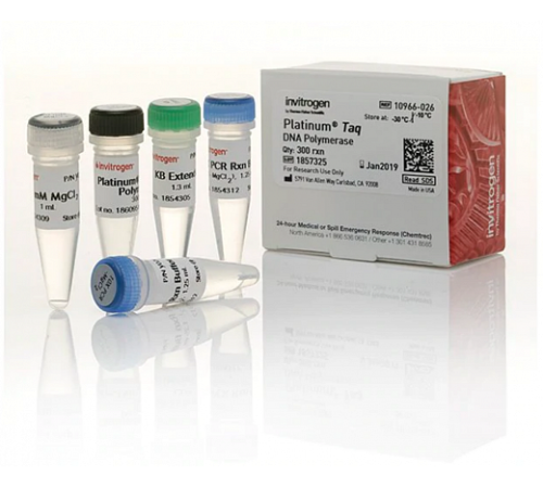 Купить ДНК-полимераза Platinum Taq DNA Polymerase, 5 ед/мкл, Thermo FS
