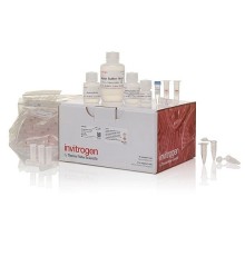Набор PureLink FFPE RNA Isolation Kit, Thermo FS
