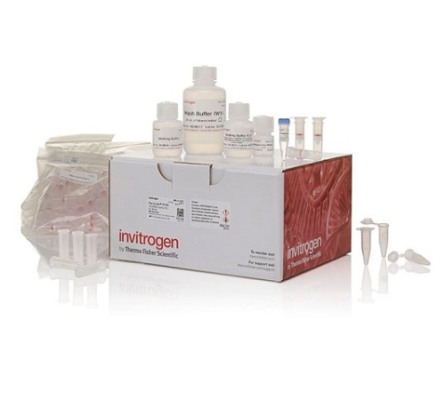 Купить Набор PureLink FFPE RNA Isolation Kit, Thermo FS