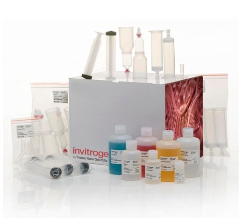 Купить Набор PureLink Fast Low-Endotoxin Maxi Plasmid Purification Kit, Thermo FS