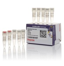 Набор для синтеза первой цепи кДНК с обратной транскриптазой RevertAid, Thermo FS