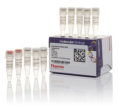 Купить Набор для синтеза первой цепи кДНК с обратной транскриптазой RevertAid, Thermo FS