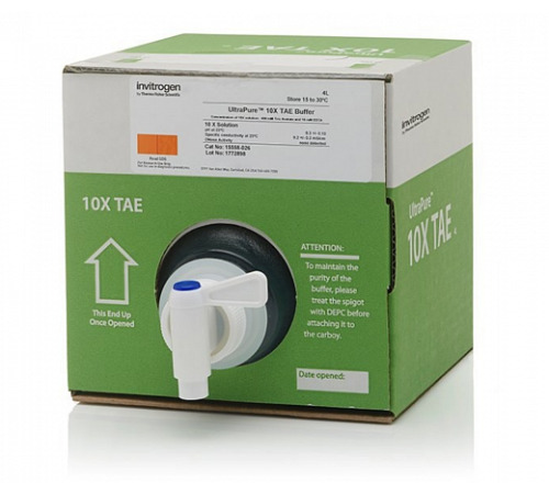 Купить Буфер TAE (Трис-ацетат-ЭДТА), UltraPure, 10Х, Thermo FS
