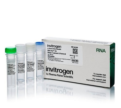 Купить Набор DNA-free DNA Removal Kit, Thermo FS