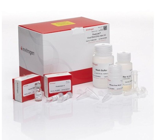 Купить Набор PureLink Viral RNA/DNA Mini Kit, Thermo FS, Thermo FS