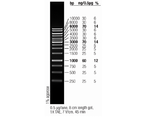 Маркер длин ДНК GeneRuler 1 kb, 14 фрагментов от 250 до 10000 п.н., готовый к применению, 0,5 мкг/мкл, Thermo FS
