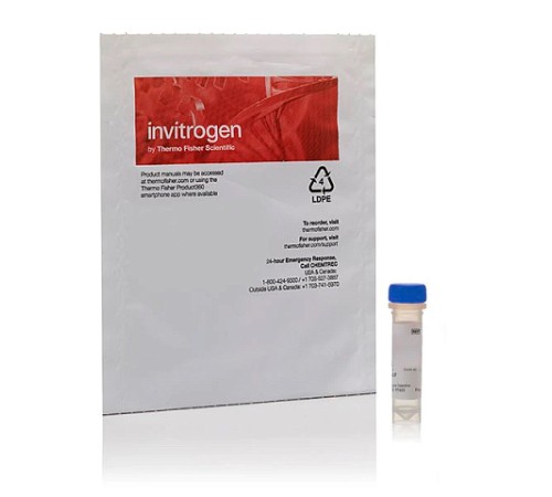 Купить Краситель SYTO RNASelect Green Fluorescent cell Stain, Thermo FS