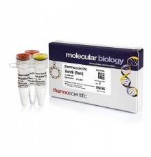 Эндонуклеаза рестрикции BshNI (BanI), 10 е.а./мкл, Fermentas, Thermo FS