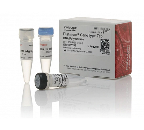Купить ДНК-полимераза Platinum GenoType Tsp DNA Polymerase, Thermo FS