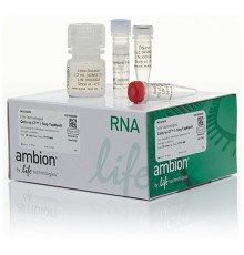 Набор для прямого анализа экспрессии генов ДНК Cells-to-CT 1-Step TaqMan Kit из культивируемых клеток без предварительного выделения РНК, Thermo FS