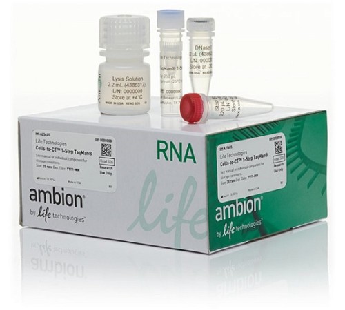 Купить Набор для прямого анализа экспрессии генов ДНК Cells-to-CT 1-Step TaqMan Kit из культивируемых клеток без предварительного выделения РНК, Thermo FS