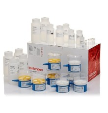 Набор PureLink Expi Endotoxin-Free Mega Plasmid Purification Kit, Thermo FS
