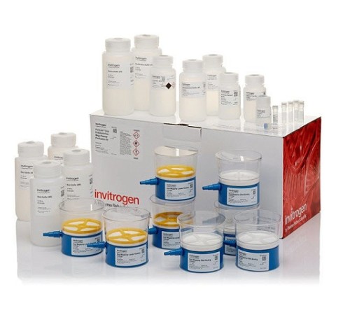 Купить Набор PureLink Expi Endotoxin-Free Mega Plasmid Purification Kit, Thermo FS