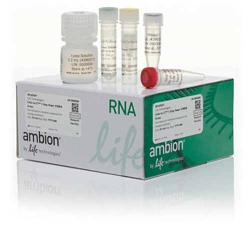 Купить Набор для прямого анализа экспрессии генов Cells-to-CT 1-Step Power SYBR Green Kit из культивируемых клеток без предварительного выделения РНК, Thermo FS