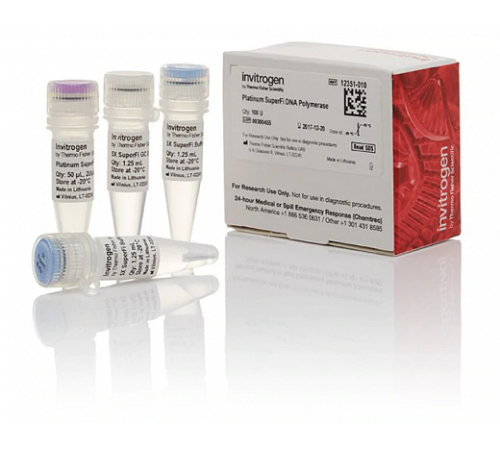 Купить ДНК-полимераза Platinum SuperFi DNA Polymerase, Thermo FS